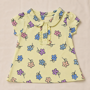 Baby Girls Pastel Yellow Multi Floral Ruffle Sleeve Top and Shorts Set