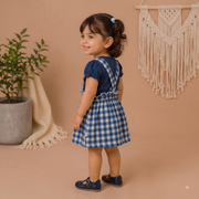 Baby Girls Sky Blue Donald Duck Gingham Pinafore Dress